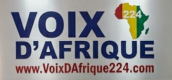 voixdafrique224.com