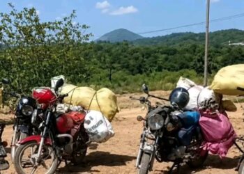 Sierra Leone : Sécurité transfrontalière, Interception de ressortissants maliens présumés dans la préfecture de Falaba