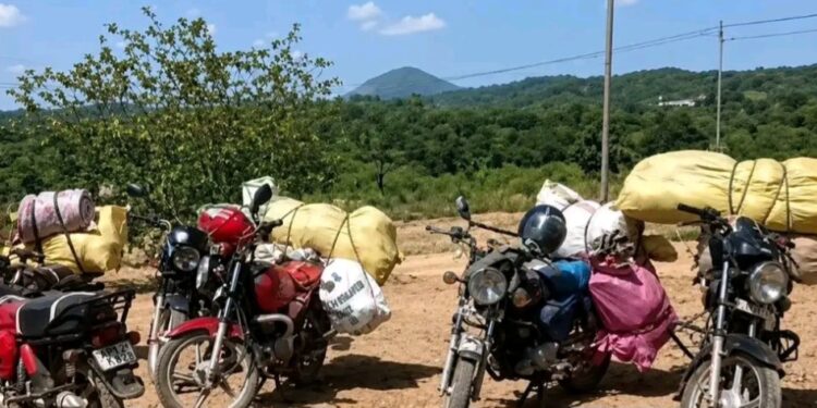 Sierra Leone : Sécurité transfrontalière, Interception de ressortissants maliens présumés dans la préfecture de Falaba