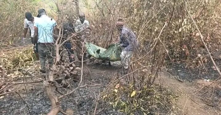 Kindia : Une herboriste perd la vie dans un incendie de brousse à Yeintè