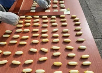 Lutte contre le trafic de stupéfiants : 145 boules de cocaïne saisies à l’Aéroport Ahmed Sékou Touré