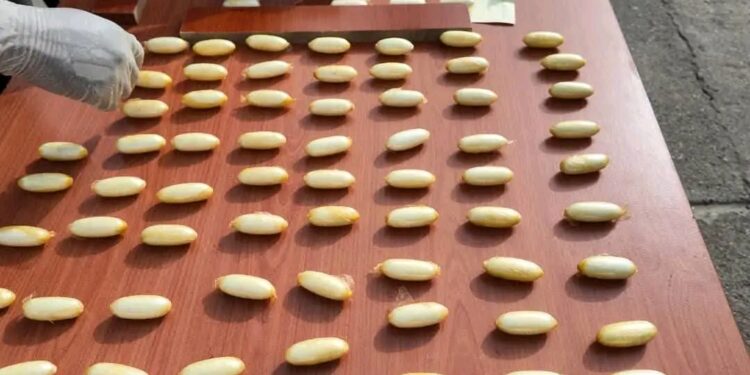 Lutte contre le trafic de stupéfiants : 145 boules de cocaïne saisies à l’Aéroport Ahmed Sékou Touré
