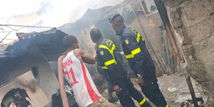 INCENDIE À COLÉAH DOMINO : LA PROTECTION CIVILE ASSURE LA SÉCURITÉ DES POPULATIONS