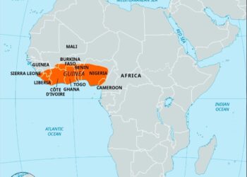 Tribune: Défendre la Guinée, la Dignité, la Souveraineté et la Fierté Nationale ( Dr David Makongo)