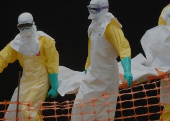 Alerte maximale : l’OMS décrète l’urgence internationale face à Ebola en RDC
