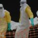 Alerte maximale : l’OMS décrète l’urgence internationale face à Ebola en RDC