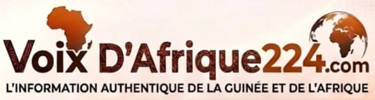 voixdafrique224.com