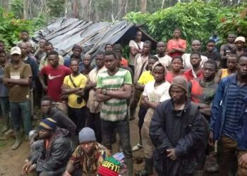 Migration et Enjeux Agricoles : Le Liberia engage la régularisation de la main-d&rsquo;œuvre burkinabè