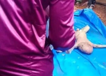 ​Drame à Mandiana : le corps d’un nourrisson disparu retrouvé dans une fosse septique
