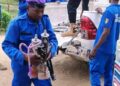 Chicha au Mali : le Gouvernement instaure un arsenal répressif sévère pour une interdiction totale