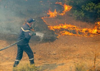 Algérie : plus de 150 incendies en 24 heures, au moins 12 morts