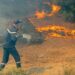 Algérie : plus de 150 incendies en 24 heures, au moins 12 morts
