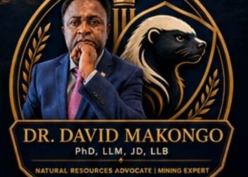 La vision minière du dr david makongo pour le cameroun: de l’extraction de l’or à l’industrialisation nationale