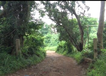 Inquiétude et incompréhension autour de la forêt de Kakimbo à Ratoma : les habitants et sages appellent l&rsquo;État au dialogue