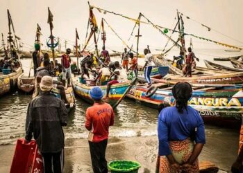 Fin du repos biologique : C’est reparti pour la Pêche