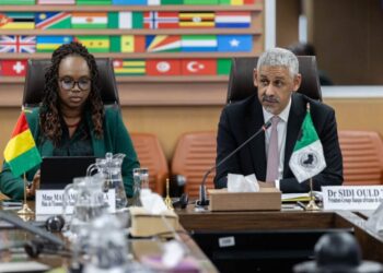 Audience avec le président de la BAD : la Guinée réaffirme son ambition de renforcer le partenariat avec la BAD au service du Programme Simandou 2040